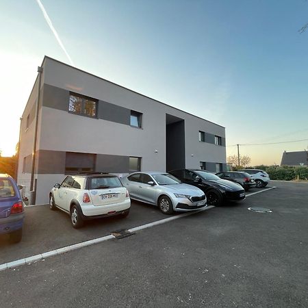 Colmar Appartement Terrasse 10Min Centre Ville Widensolen Zewnętrze zdjęcie